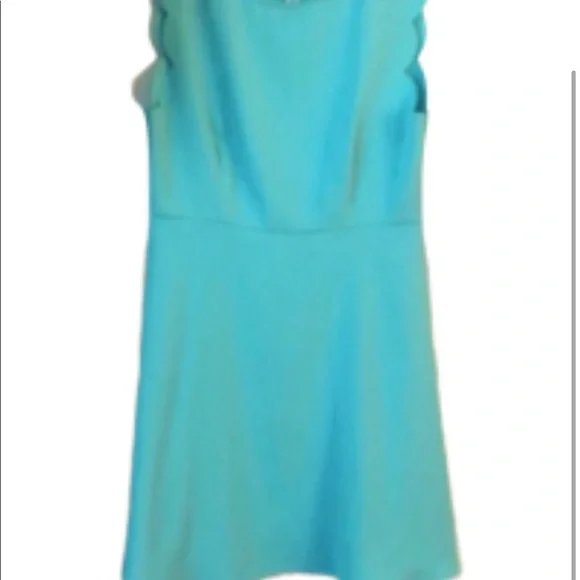 Everly‎ Mint Green Size Large Scalloped Sleeve  Dress - Picture 3 of 8